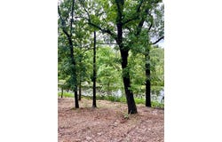 Tbd Lot 14, Athens, TX 75752