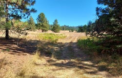 13534 S RIDGEVIEW Dr, Harrison, ID 83833