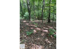Duffey Lane, Stuart, VA 24171