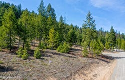 NKA Healing Drive Lot 3, Blanchard, ID 83804