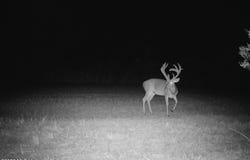 0014 Windermere Boulevard, Madison, MS 39110