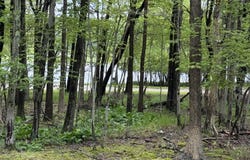 610 N SHORE Drive, Albrightsville, PA 18210