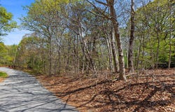 Landing Drive, Brewster, MA 02631