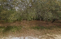 108 Palmer Dr, Interlachen, FL 32148