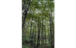 2 County Highway C, Couderay, WI 54943