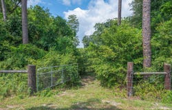 2685 Presott Road, Florala, AL 36442