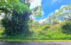 MAILE ST, Pahoa, HI 96778