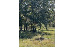 Tbd Ripley 142E-28A, Doniphan, MO 63939