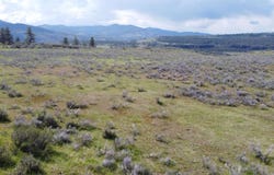 1AXX N 25 Hwy, Davenport, WA 99122