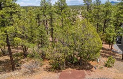 1280 Pine Oaks Drive, Show Low, AZ 85901