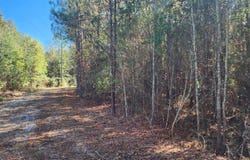 1 County Rd 51, Greensboro, AL 36744