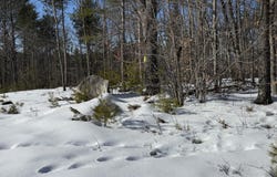 299 Intervale Road, Jay, ME 04239