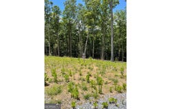 Lot 95 The Ridges, Morganton, GA 30560