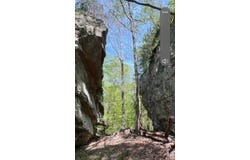 95.43 Sheep Bluff Road, Cookeville, TN 38506