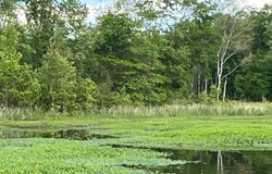 4105 MCGOWANS FERRY ROAD, CHILDERSBURG, AL 35044