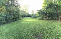 2036 Harold Road, Jefferson Twp, OH 43128