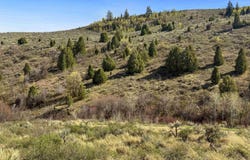 W Walker Creek Rd, McCammon, ID 83250