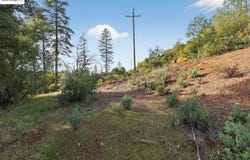 4544 Sheep Ranch RD, Murphys, CA 95247