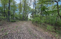 Lot 19 Mccord Bend, Galena, MO 65656