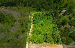 2444 Jackson Liberty Dr, Brookhaven, MS 39601