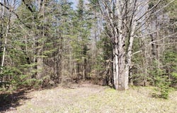 9 South Lake Road, Phillips, WI 54555