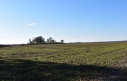 River Road, Crumrod, AR 72328