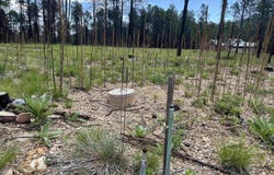 22 Calle Retiro Road, Rociada, NM 87742