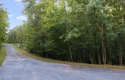 45 Bayward Dr, HEATHSVILLE, VA 22473
