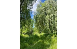 3797 Highway 65, Isle, MN 56342