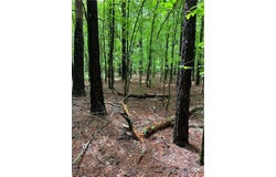 0 Teems Road, Ringgold, GA 30736