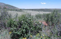 Livermore, CO 80536
