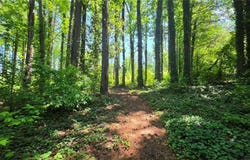 6099 Old Alabama Road SW, Austell, GA 30168