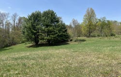 10793 ROSE VALLEY ROAD, Trout Run, PA 17771