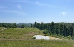 3269 Hampton Ridge Road, Genoa, WV 25517