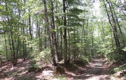 Peach Bottom Road lot: 0, Independence, VA 24348