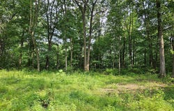 8747 SWEETWATER ROAD, FORT LOUDON, PA 17224