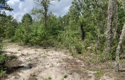 403 LILY Trail, Interlachen, FL 32148