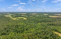 COUNTY ROAD 605 lot: 0, SECTION, AL 35771