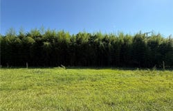 00 US Highway 311, Sophia, NC 27350