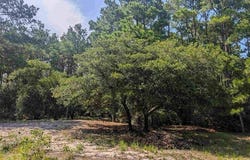 2366 Swan Island Road, Corolla, NC 27927