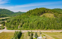 29W11W33A TL101, Myrtle Point, OR 97458
