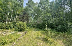 1804 Bates Amasa, Crystal Falls, MI 49920