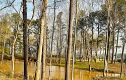 6046 County Road 2225 Troy, AL 36079, Troy, AL 36079