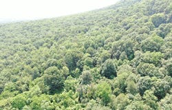 42.68+/- ACRES HUNTER ROAD, MERCERSBURG, PA 17236