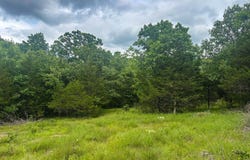 County Road 815, Gainesville, MO 65655