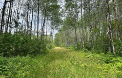 W37XX Frog Creek Road, Minong, WI 54859