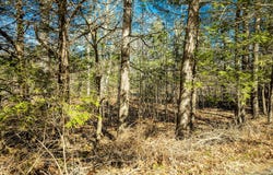 122,6-1 Timbercliffe Drive, Camden, ME 04843