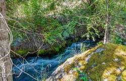 192 Shingle Creek Road, Riggins, ID 83549