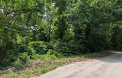Lakeside Drive, Ozark Acres, AR 72482