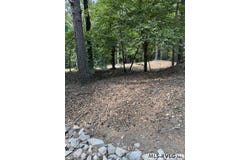 Holly Grove Lane lot: Parcel B, Bracey, VA 23919